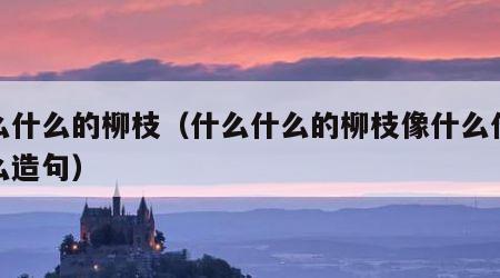 什么什么的柳枝（什么什么的柳枝像什么什么什么造句）