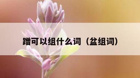 蹭可以组什么词（盆组词）