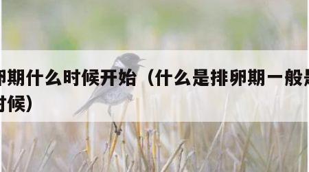 排卵期什么时候开始（什么是排卵期一般是什么时候）