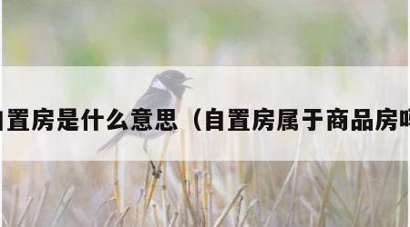 自置房是什么意思（自置房属于商品房吗）