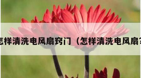 怎样清洗电风扇窍门（怎样清洗电风扇?）
