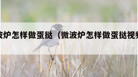 微波炉怎样做蛋挞（微波炉怎样做蛋挞视频窍门）