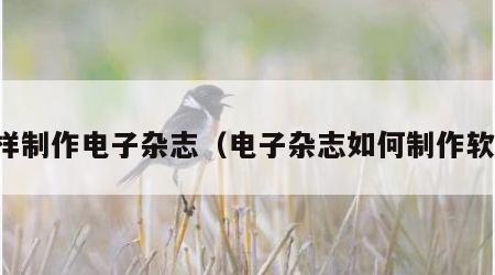 怎样制作电子杂志（电子杂志如何制作软件）