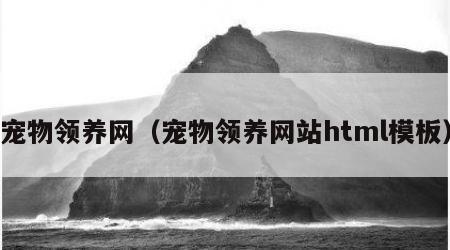 宠物领养网（宠物领养网站html模板）