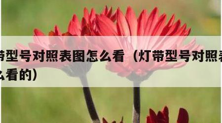 灯带型号对照表图怎么看（灯带型号对照表图怎么看的）