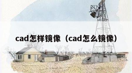 cad怎样镜像（cad怎么镜像）
