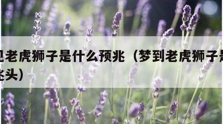 梦见老虎狮子是什么预兆（梦到老虎狮子是什么兆头）