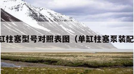 单缸柱塞型号对照表图（单缸柱塞泵装配图）