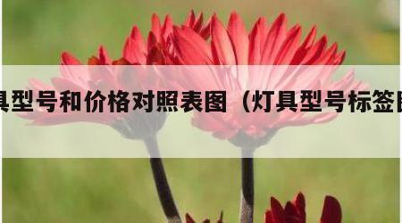 灯具型号和价格对照表图（灯具型号标签图片）