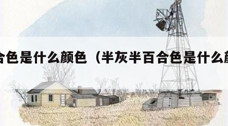 百合色是什么颜色（半灰半百合色是什么颜色）