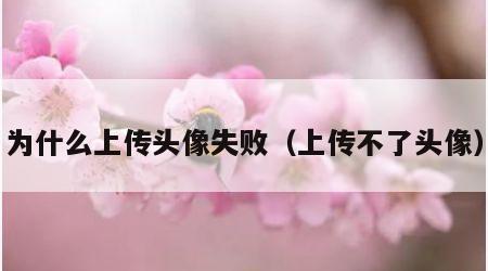 为什么上传头像失败（上传不了头像）