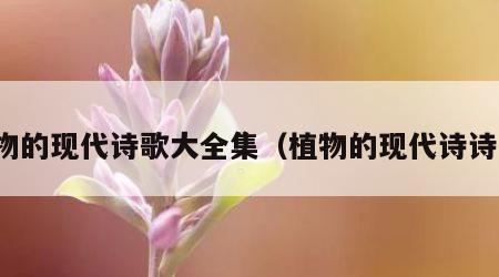 植物的现代诗歌大全集（植物的现代诗诗歌）