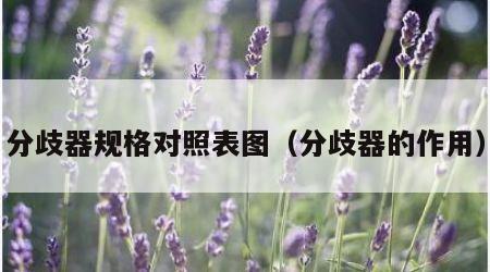 分歧器规格对照表图（分歧器的作用）