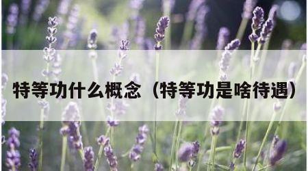 特等功什么概念（特等功是啥待遇）