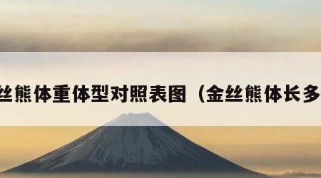 金丝熊体重体型对照表图（金丝熊体长多少）