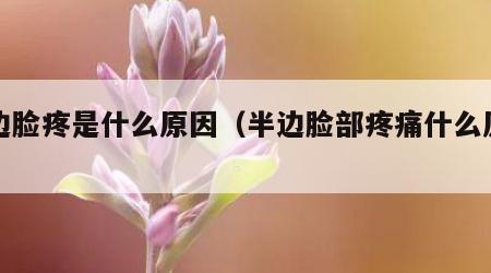 左边脸疼是什么原因（半边脸部疼痛什么原因）