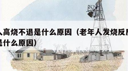 老人高烧不退是什么原因（老年人发烧反反复复是什么原因）
