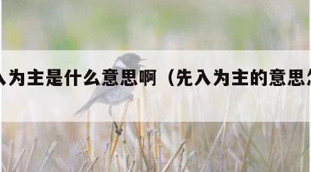 先入为主是什么意思啊（先入为主的意思怎样解）