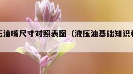 液压油嘴尺寸对照表图（液压油基础知识和参数）