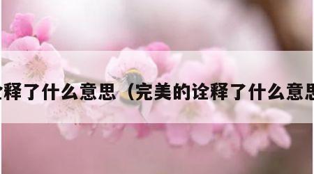 诠释了什么意思（完美的诠释了什么意思）