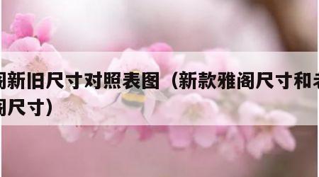 雅阁新旧尺寸对照表图（新款雅阁尺寸和老款雅阁尺寸）