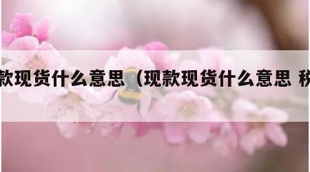 现款现货什么意思（现款现货什么意思 税点）