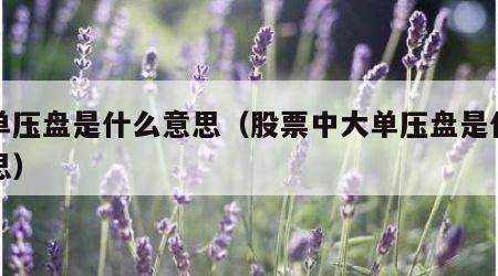 大单压盘是什么意思（股票中大单压盘是什么意思）