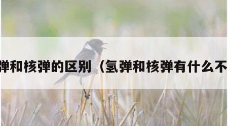 氢弹和核弹的区别（氢弹和核弹有什么不同）