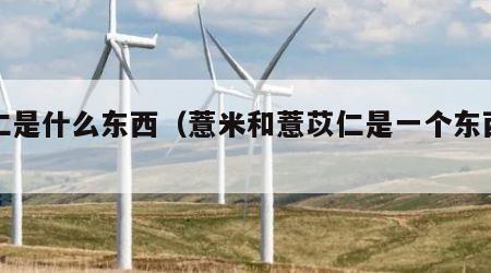 薏仁是什么东西（薏米和薏苡仁是一个东西吗）