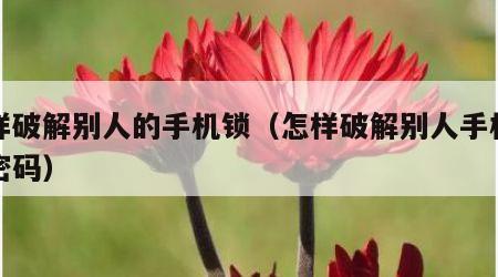 怎样破解别人的手机锁（怎样破解别人手机锁频密码）