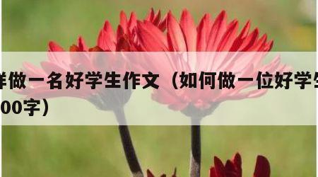 怎样做一名好学生作文（如何做一位好学生作文500字）