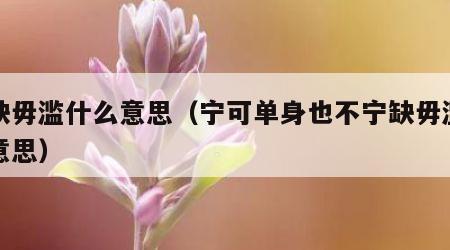 宁缺毋滥什么意思（宁可单身也不宁缺毋滥什么意思）