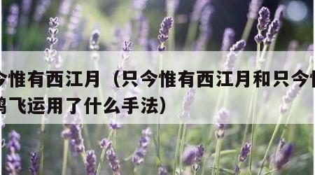 只今惟有西江月（只今惟有西江月和只今惟有鹧鸪飞运用了什么手法）