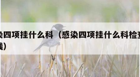 感染四项挂什么科（感染四项挂什么科检查多少钱）
