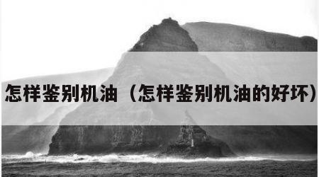 怎样鉴别机油（怎样鉴别机油的好坏）