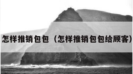 怎样推销包包（怎样推销包包给顾客）