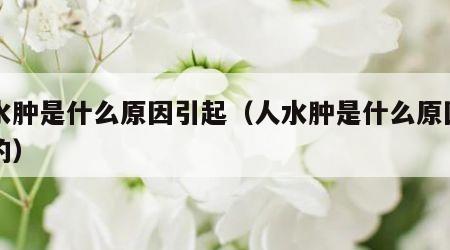 人水肿是什么原因引起（人水肿是什么原因引起的）