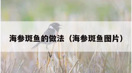 海参斑鱼的做法（海参斑鱼图片）