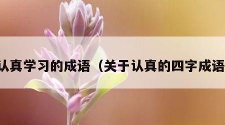 认真学习的成语（关于认真的四字成语）