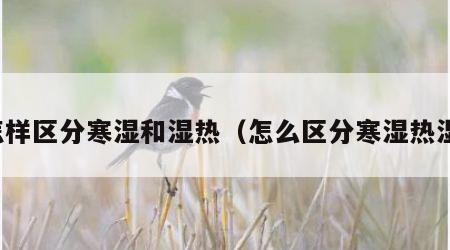 怎样区分寒湿和湿热（怎么区分寒湿热湿）