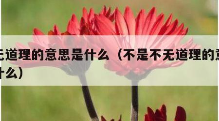不无道理的意思是什么（不是不无道理的意思是什么）