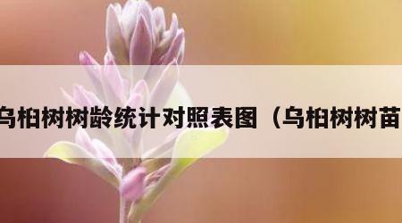 乌桕树树龄统计对照表图（乌桕树树苗）