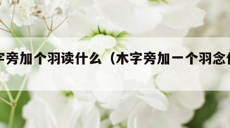 木字旁加个羽读什么（木字旁加一个羽念什么）