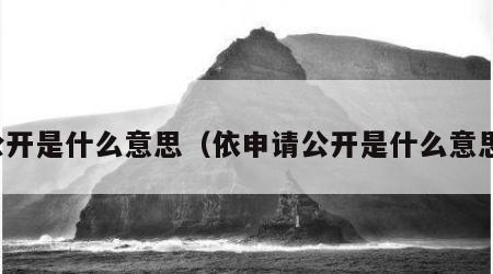 公开是什么意思（依申请公开是什么意思）