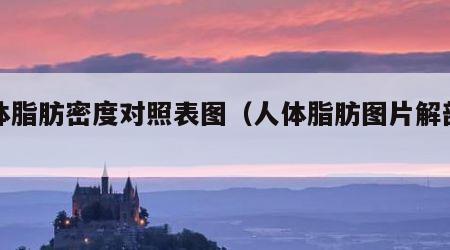 人体脂肪密度对照表图（人体脂肪图片解剖图）