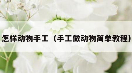 怎样动物手工（手工做动物简单教程）