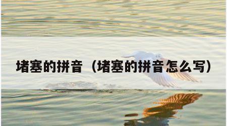堵塞的拼音（堵塞的拼音怎么写）