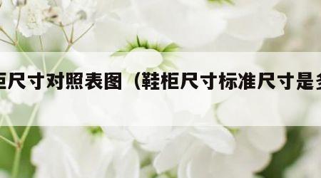 鞋柜尺寸对照表图（鞋柜尺寸标准尺寸是多少）