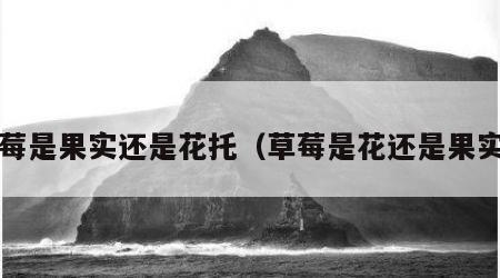 草莓是果实还是花托（草莓是花还是果实?）