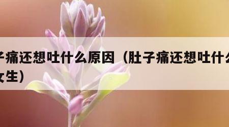 肚子痛还想吐什么原因（肚子痛还想吐什么原因女生）